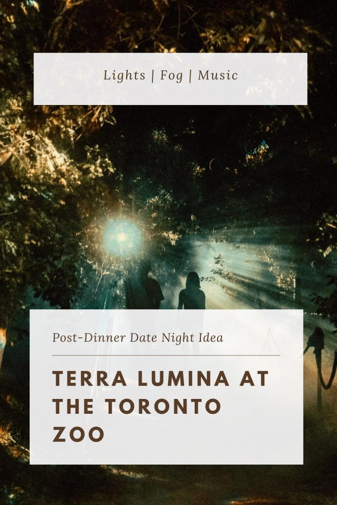 SYDE Road | Lights | Fog | Music | Post-dinner date night idea - Terra Lumina at the Toronto Zoo