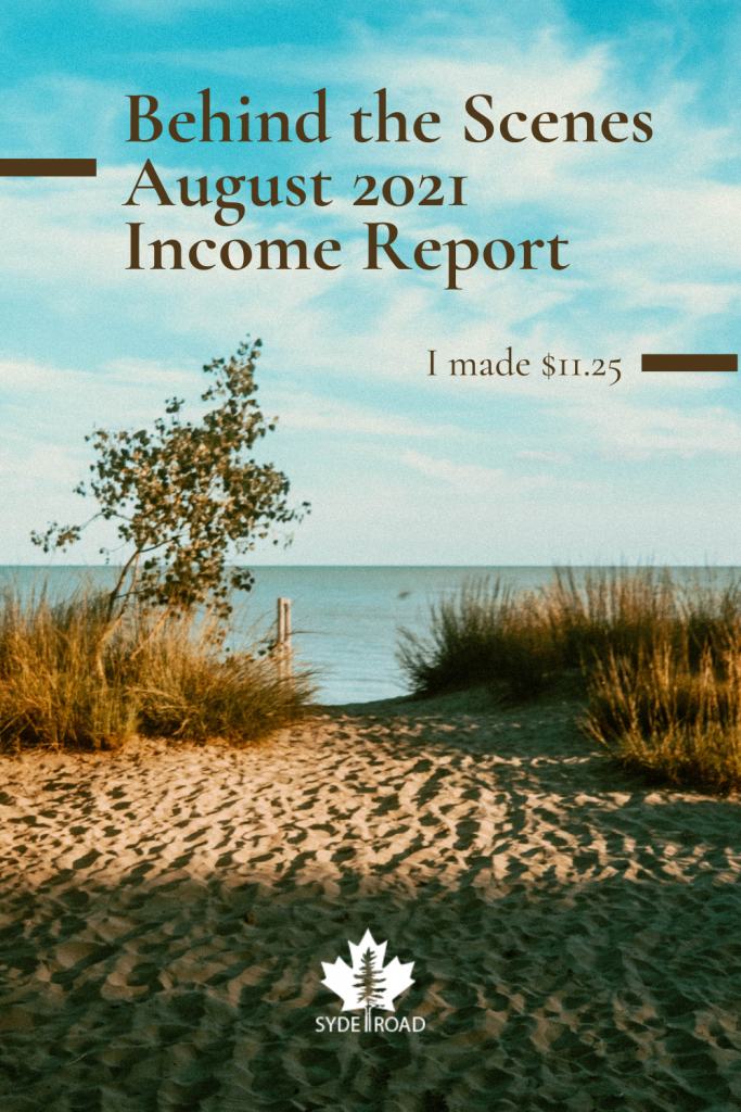 SYDE Road Behind the Scenes - August 2021 Income Report 