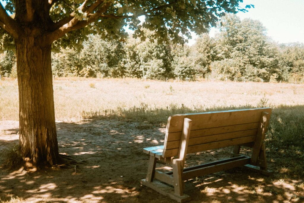 Shaded bench at the open play area