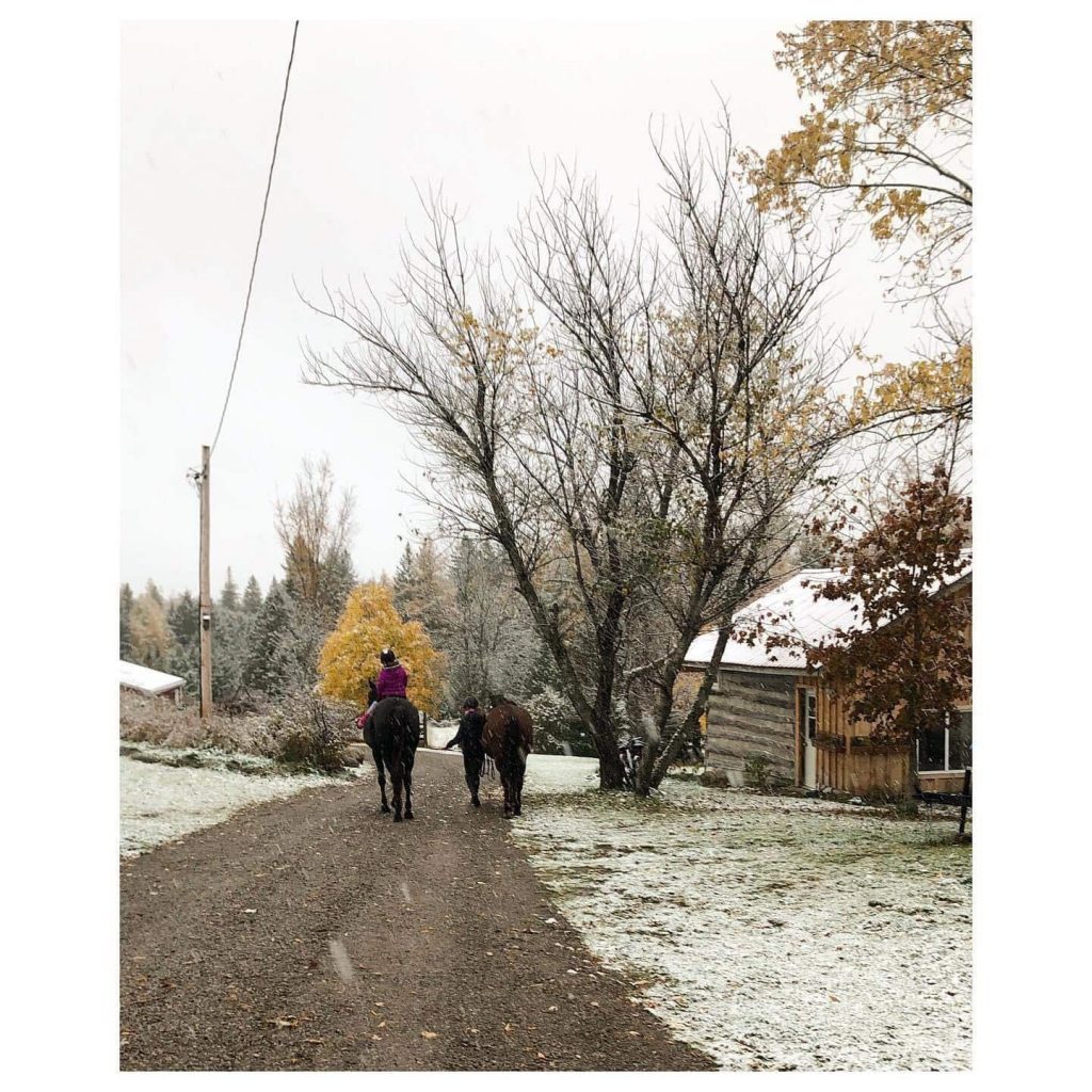 Humble Ranch Log Cabin - Winter