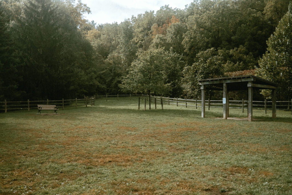 Earl Bales Dog Park taken from the northwest end. Roofed shelters are available in the dog park to provide extra shade