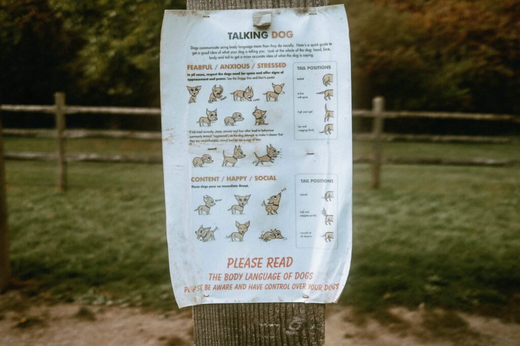 Earl Bales Dog Park has posters to teach dog owners how to read a dog's body language