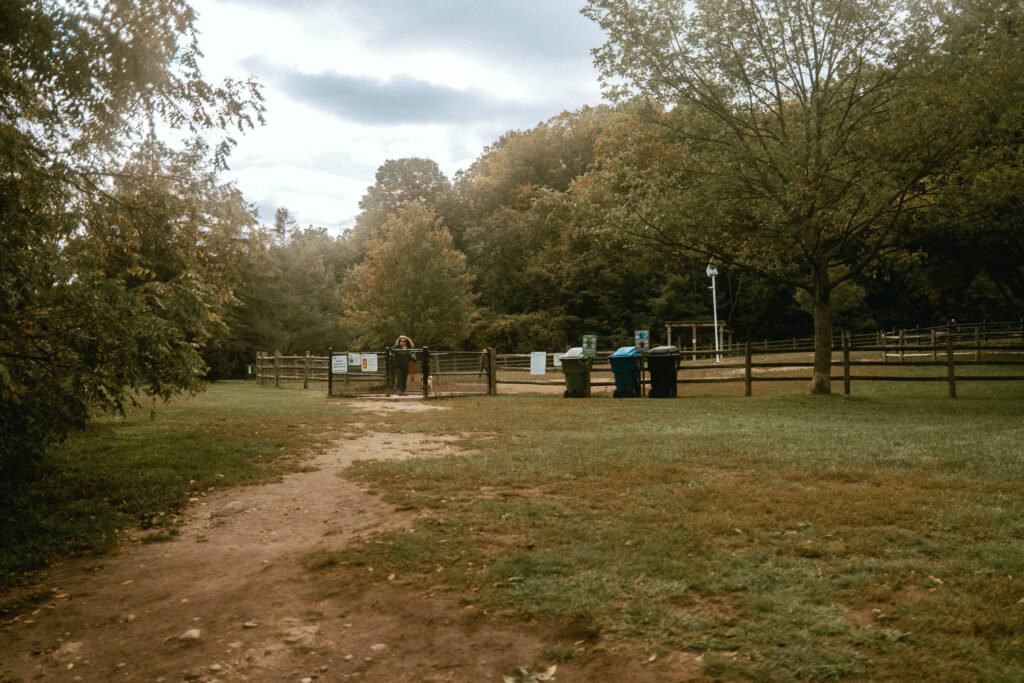 Dirt Path leading to the main entrance of Earl Bales Dog Park