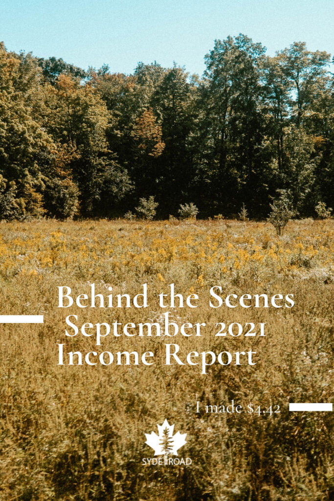 SYDE Road September 2021 - Behind the Scenes Income Report. I made $4.42. Pinterest Pin