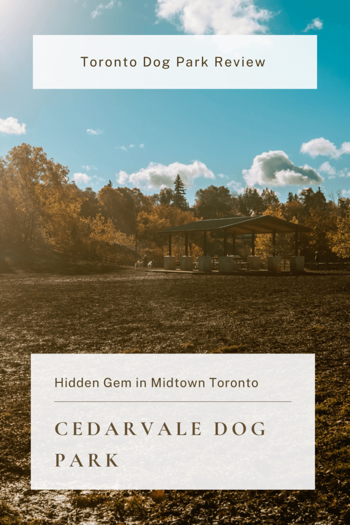 Cedarvale Dog Park - Main Off-Leash Area with Shaded Pavilion and Shaded Seating