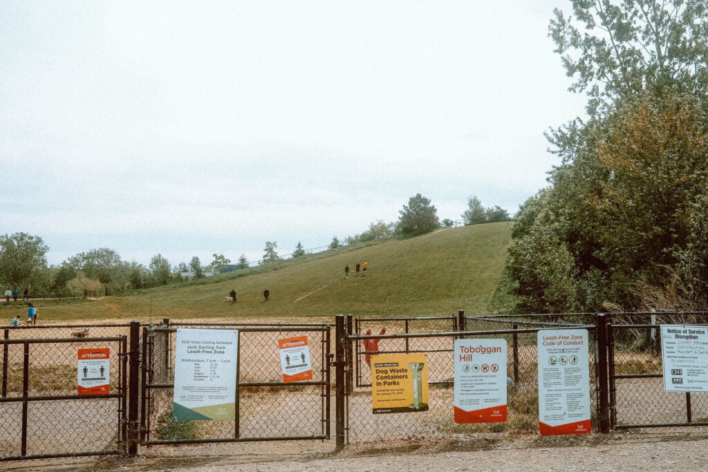 Jack Darling Dog Park - Main Off-Leash Area - Double-gated Entryway for the Toboggan Hill and the Main Off-Leash Trail Area