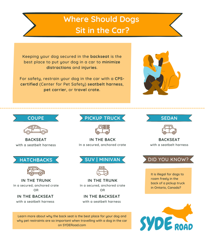 Where should dogs sit in the car infographic. The infographic contains various types of car listings and the best location to put your dog depending on what type of car you drive. 