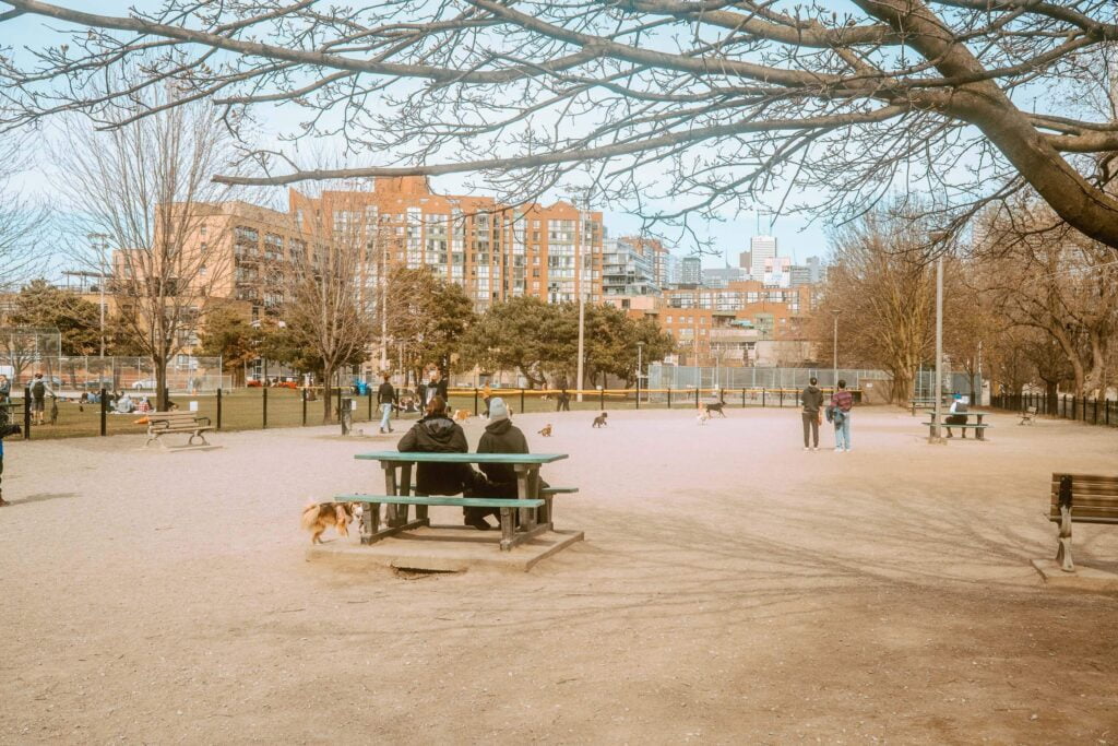 Image of South Stanley Dog Park - there are two people sitting by a picnic table with off-leash dogs walking around the space