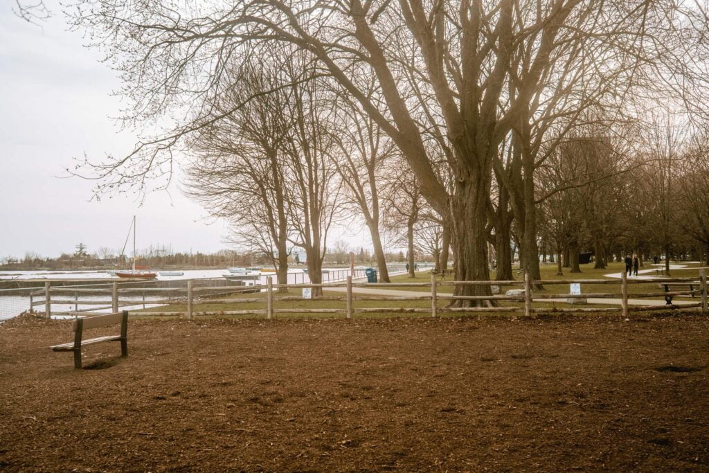 Southwest end of Coronation Dog Park - a large off-leash dog park in downtown Toronto