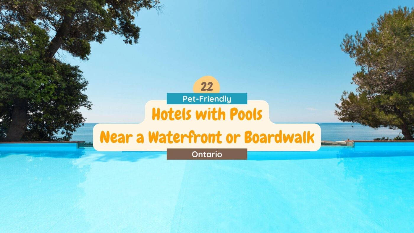 22 Pet-Friendly Hotels in Ontario with Pools (and Less Than 1KM From a Boardwalk or Beach too!)