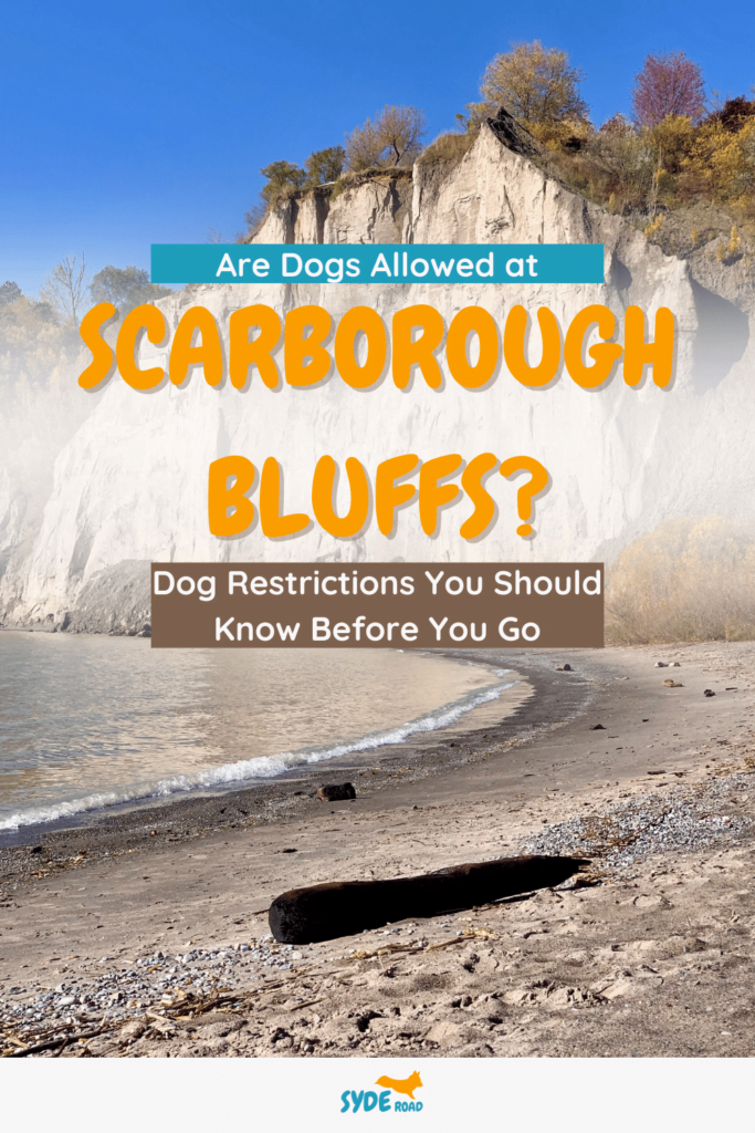 Are dogs allowed at Scarborough Bluffs? Pinterest Pin - image is of Scarborough Bluffs taken by the beach / shoreline with the cliffs in the background.