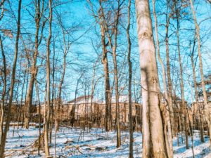 Trail photo at Baker Woods in the winter beside Sugarbush Heritage Park in Thornhill / Vaughan. Forests back up against the local neighbourhood homes.