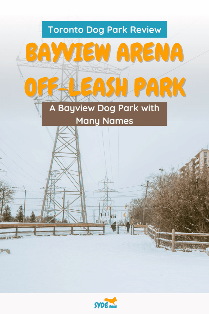 Toronto Dog Park Review - Bayview Arena Off-Leash Park: A Bayview Dog Park with Many Names. Pinterest Pin with background of Bayview Arena Off-Leash Area taken during the winter time.