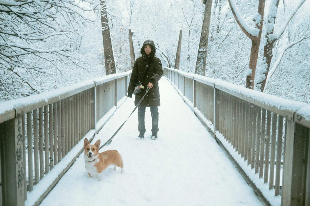 Maria and Limone walking over an overpass bridge on a snowy day.