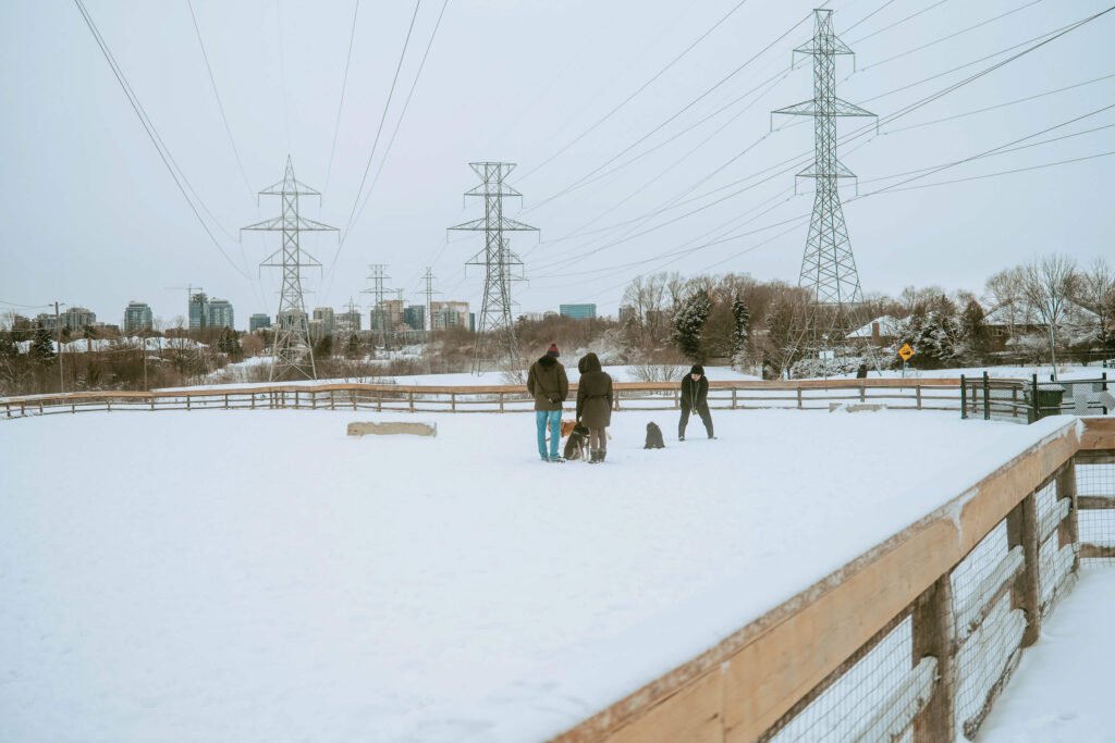 Three dog owners and some off-leash dogs at the Bavyiew Dog Park during the winter. There are several transmission towers in the backdrop along with the high rise buildings from the North York area in the background.