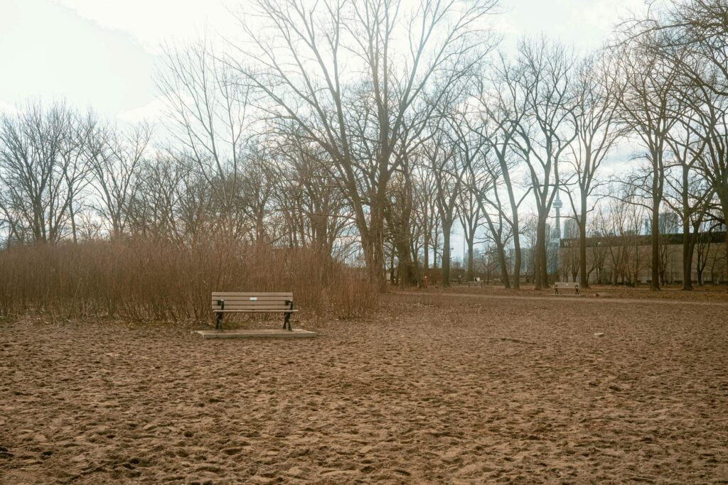 a lone bench on the beach at Cherry Beach. 