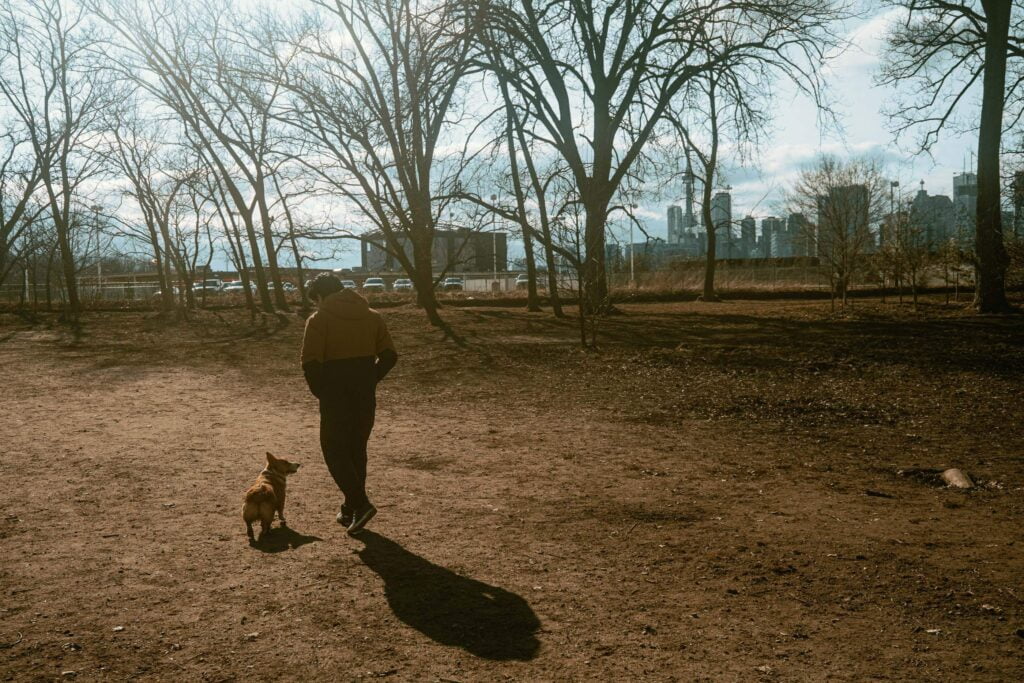 Angelo, wearing a brown and blue spring jacket is walking beside Limone, a red and white corgi at Cherry Beach. In the background is a row of bare trees and peeking through, is the Toronto skyline