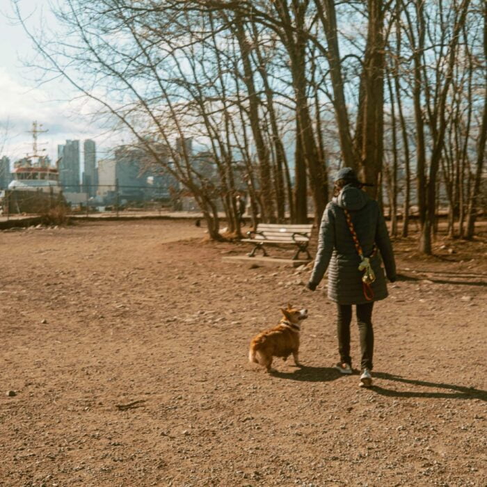 Cherry Beach Dog Park – Cottage Country Walks with City Views