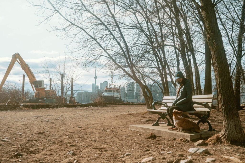 Limone, a red and white corgi is sitting on the ground looking up at Maria, wearing a long blue coat and navy baseball cap, sitting on a bench. In the background is a scenic view of Toronto's skyline and some construction cranes. 