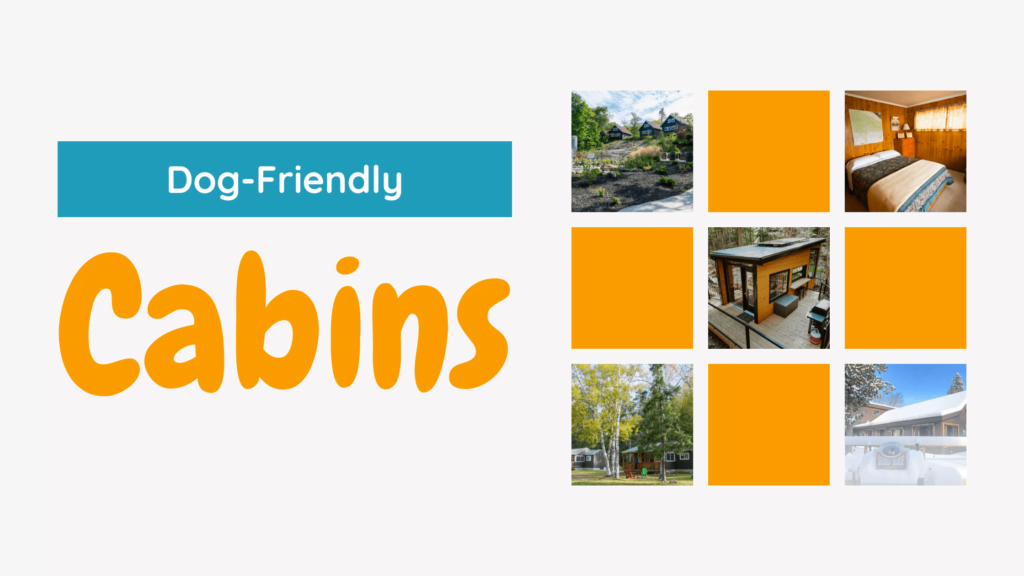 Dog-Friendly Cabins in Ontario - Blog Banner with image previews of hotels discussed in section below