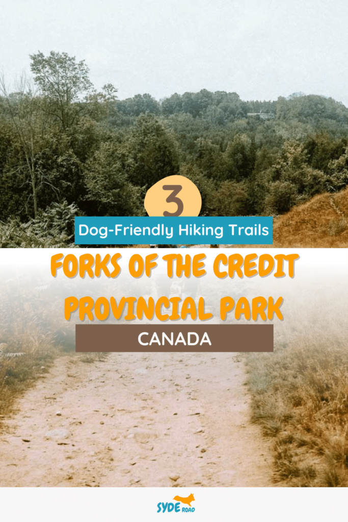 Open Hiking Trail at the Forks of the Provincial Park