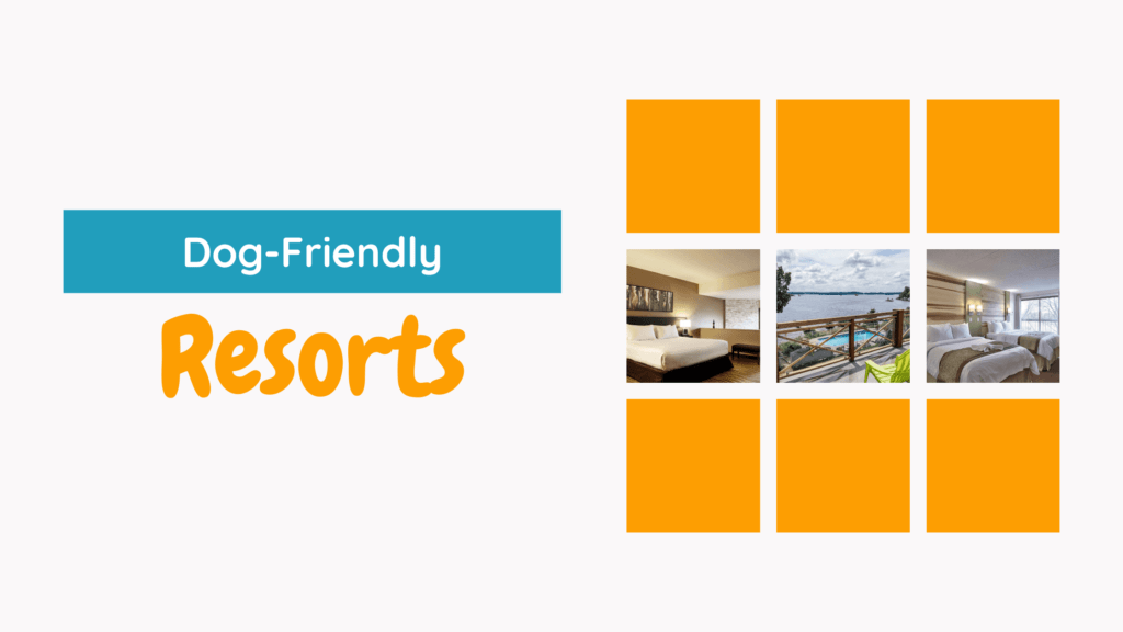 Dog-Friendly Resorts in Ontario - Blog Banner with image previews of hotels discussed in section below