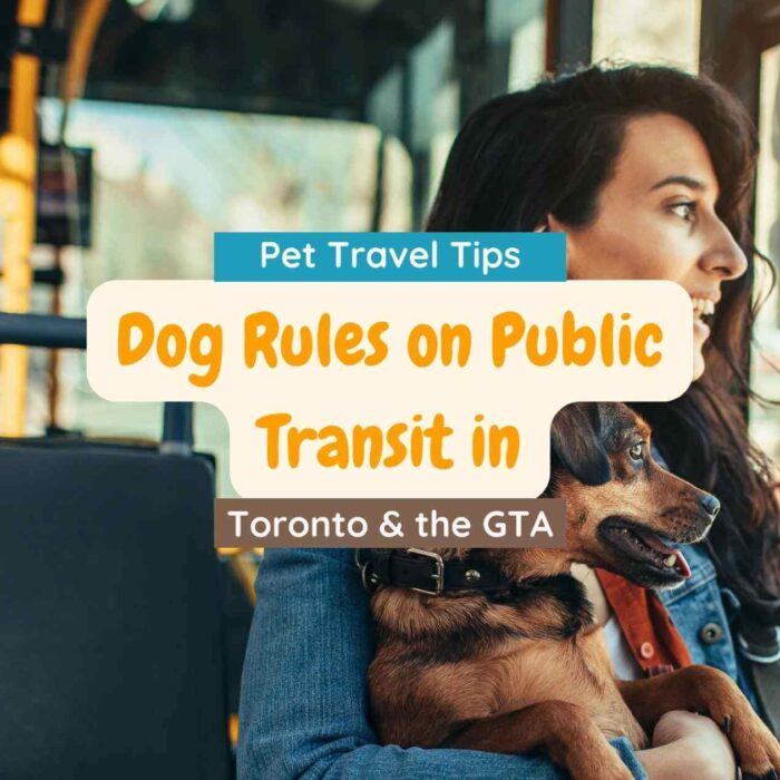 Dog Rules on Public Transit in Toronto and the GTA
