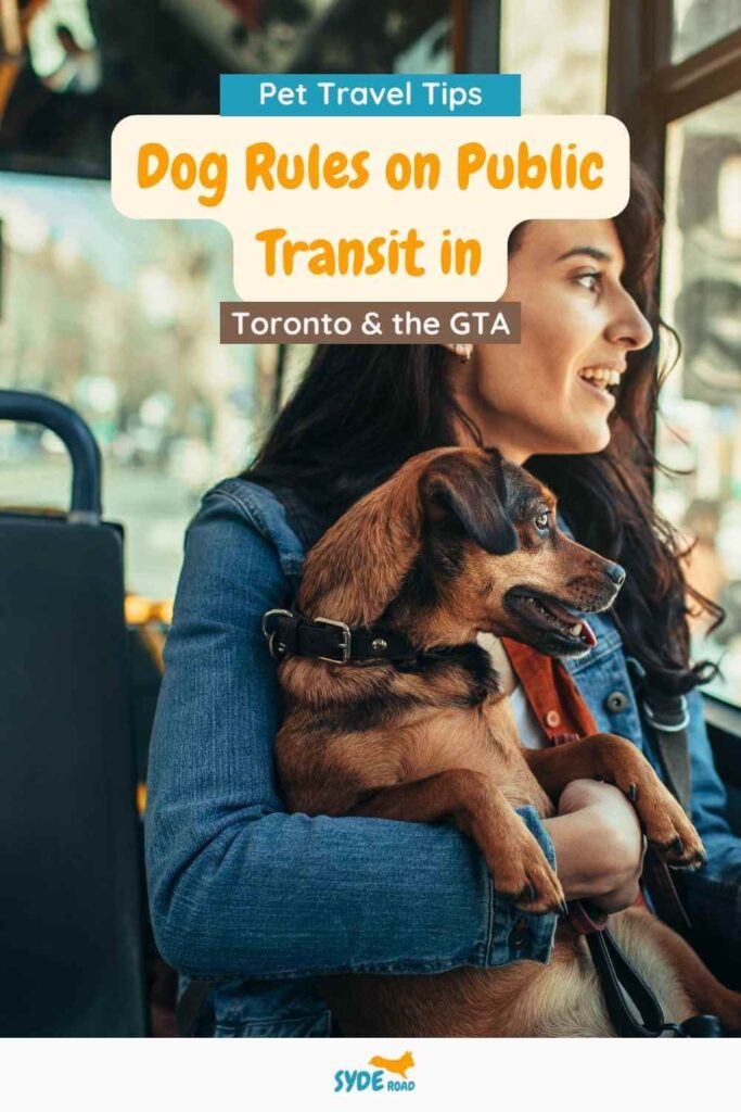 Woman holding a dog riding a bus and looking out the window. Photo is the Pinterest Pin image for the post: Dog Rules On Public Transit in Toronto and the GTA