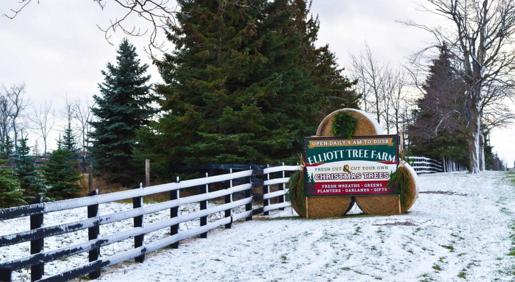 Elliott Tree Farm - Fortune Farms Farm - A Dog-Friendly Maple Syrup Farm in Ontario