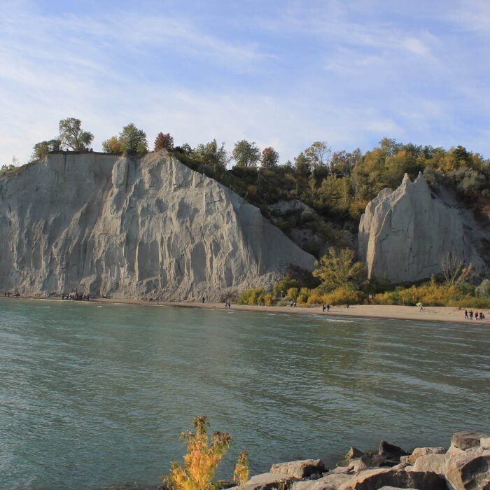 Are Dogs Allowed at Scarborough Bluffs?