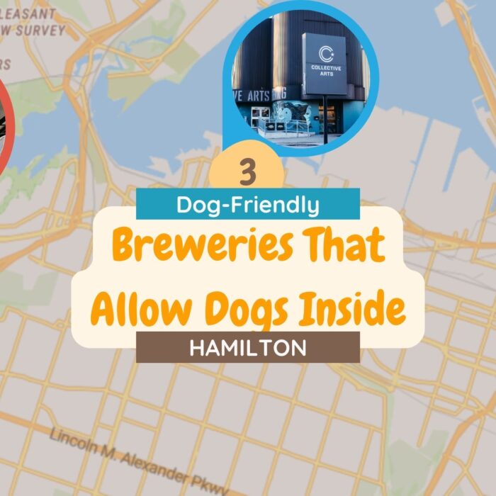 Which Breweries in Hamilton Allow Dogs Inside?