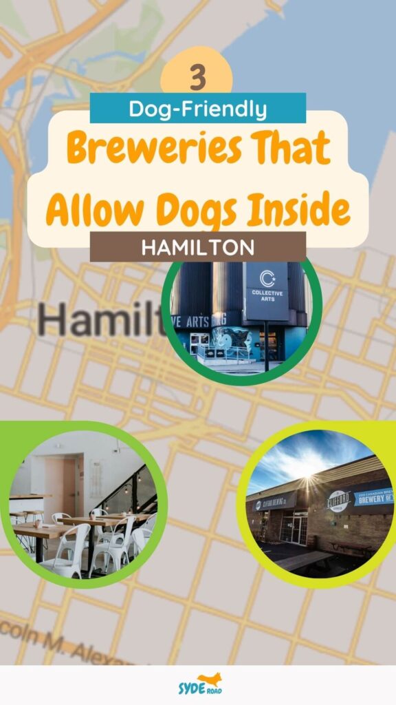 Place Marker Map of Hamilton Breweries That Allow Dogs Inside with title text overlay. Image is the Pinterest Pin image for Hamilton Breweries that Allow Dogs Indoors.