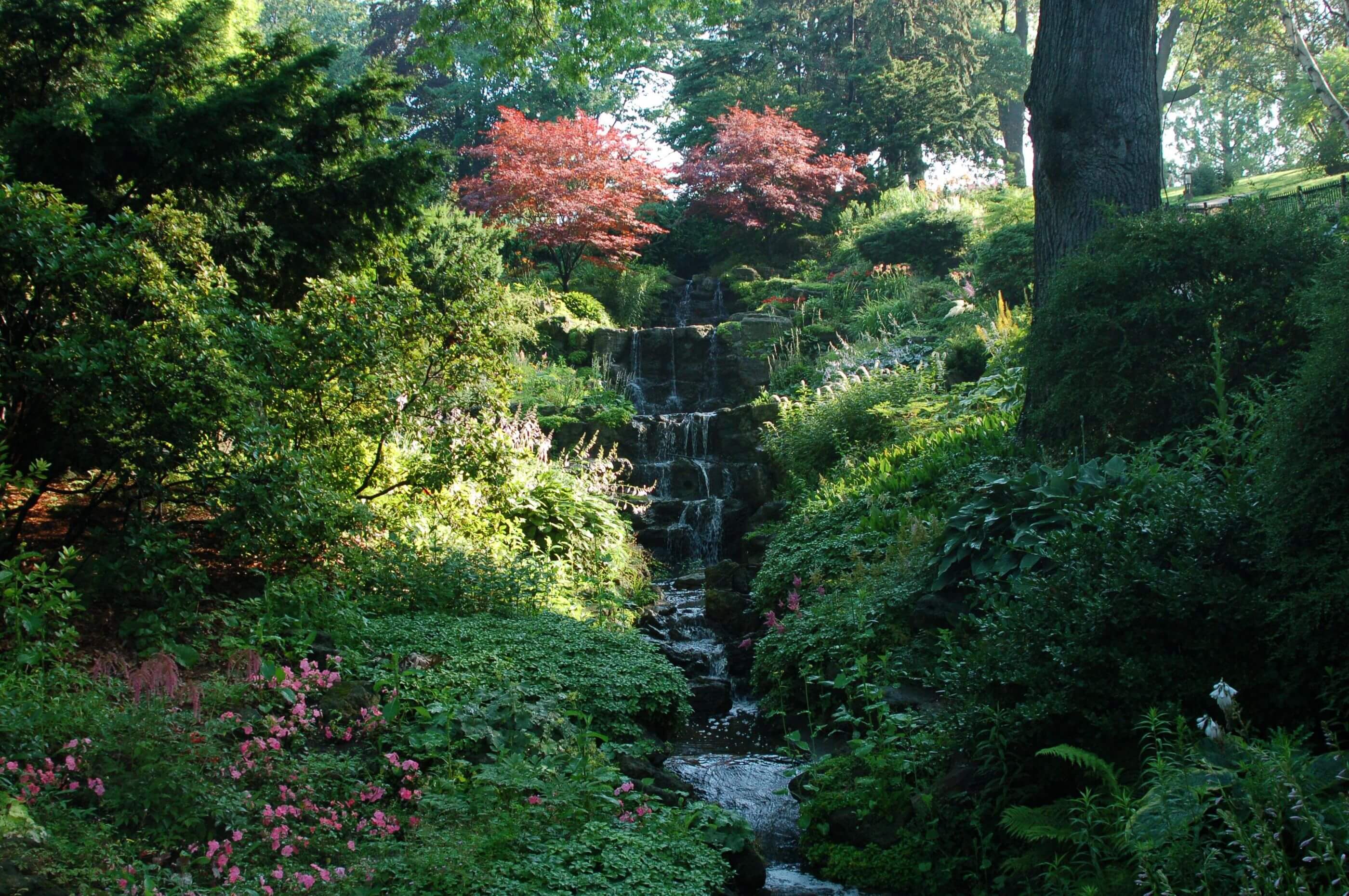 High Park - Landscaped waterfall garden - Image from Wikipedia Commons