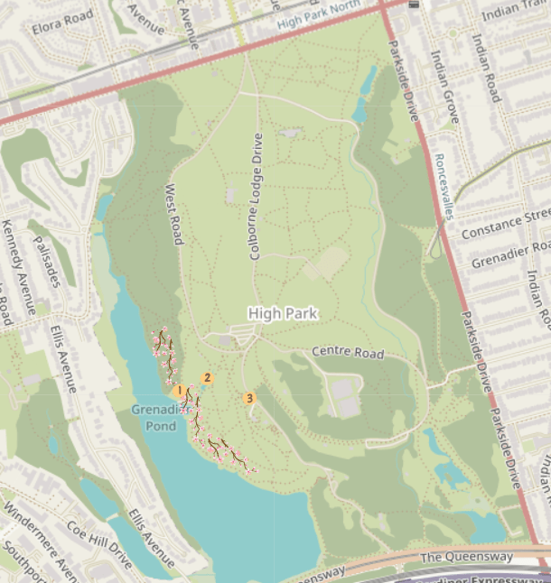 High Park Recommended Spring Photoshoot Locations Marked on a Map