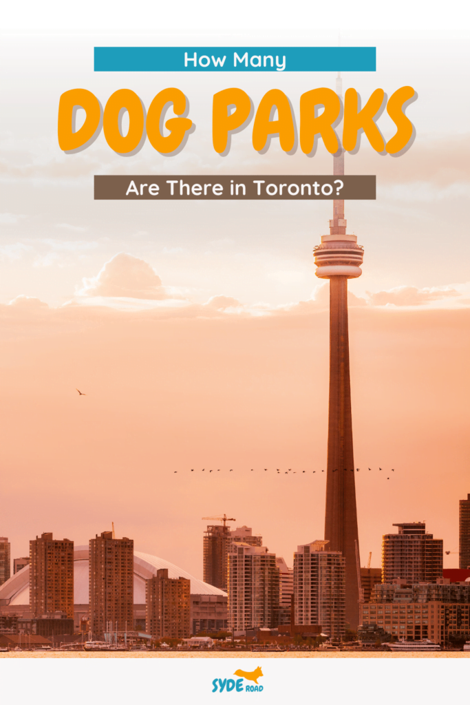 Image of Toronto's Iconic Skyline during the sunset. There are a line of birds passing by the tower as well. Image is used as a Pinterest Pin for the Blog Post: How Many Dog Parks Are There in Toronto?