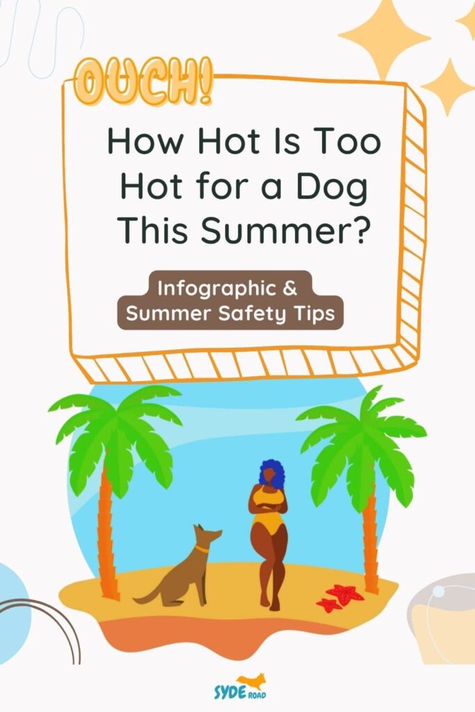 How hot is too hot for a dog this summer - Pinterest Pin.