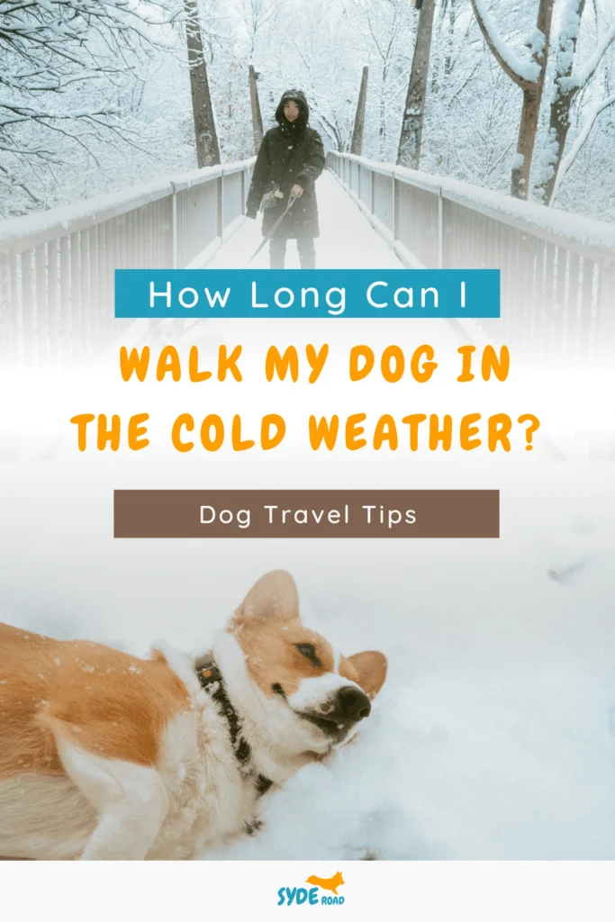 Top - woman standing on a snowy overpass holding a leash. Bottom - Corgi laying on the snow