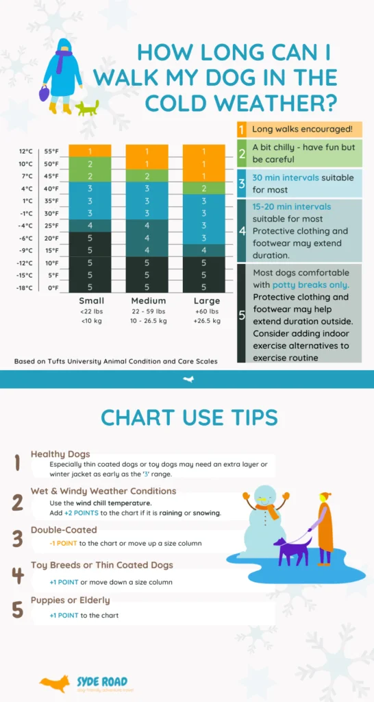 Visual chart to check how cold is too cold to play outside with a dog. Chart is based on temperature and breed size. Recommendations are based on a 5 point scale system created by Tufts University Animal Condition and Care - Weather Safety Scales.