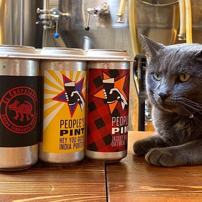 Maris the Brewery Cat Posing Beside three flavours offered at People's Pint Brewery