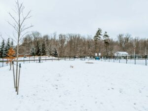 View from inside the dedicated and fenced small dog area at Sugarbush Heritage Park's dog park.