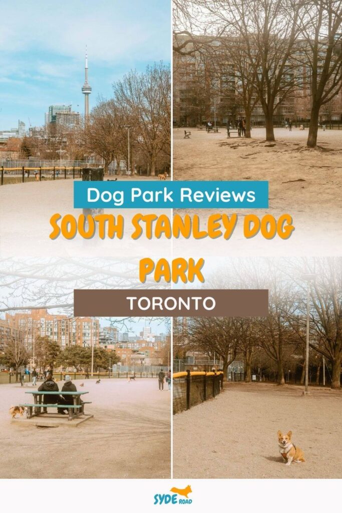 South Stanley Dog Park - Toronto Dog Park Review - Pinterest Pin