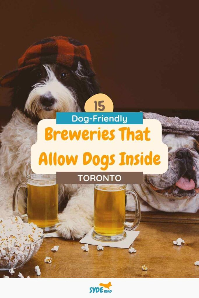 15 Dog-Friendly Breweries in Toronto that Allow Dogs Inside - Pinterest Pin