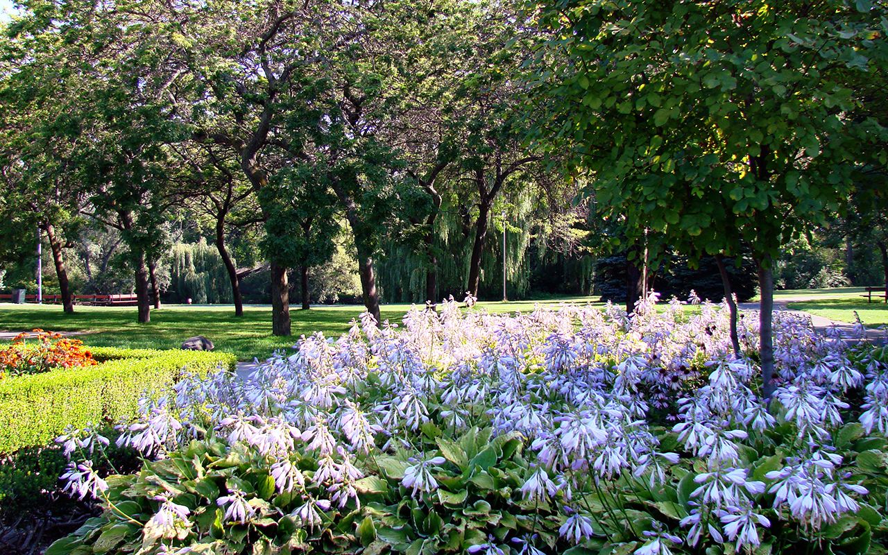 Toronto Centre Island Gardens - Image from City of Toronto